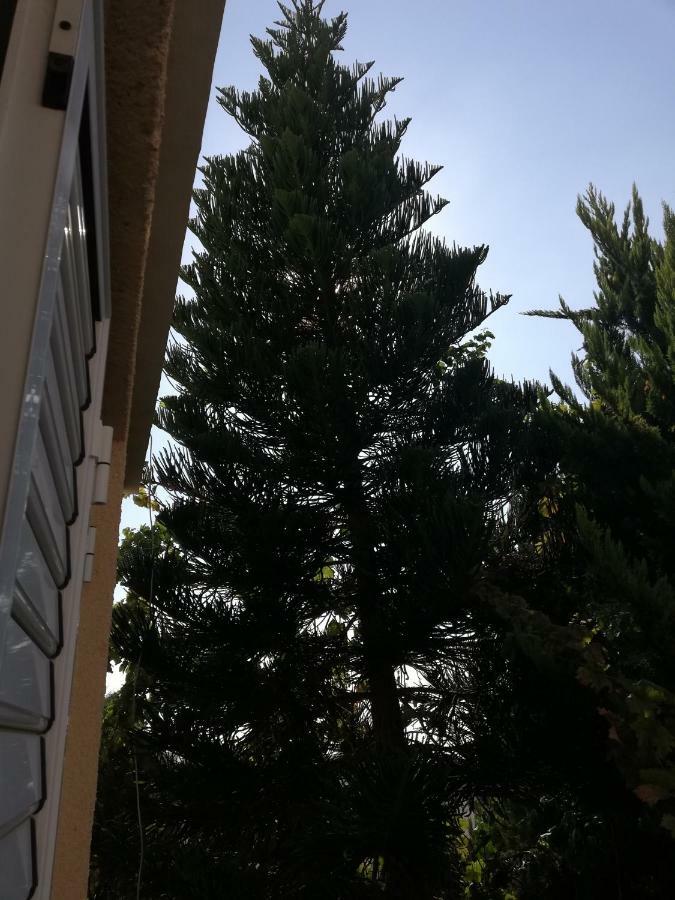 Chriselina Gottage Apartamento Pafos Exterior foto
