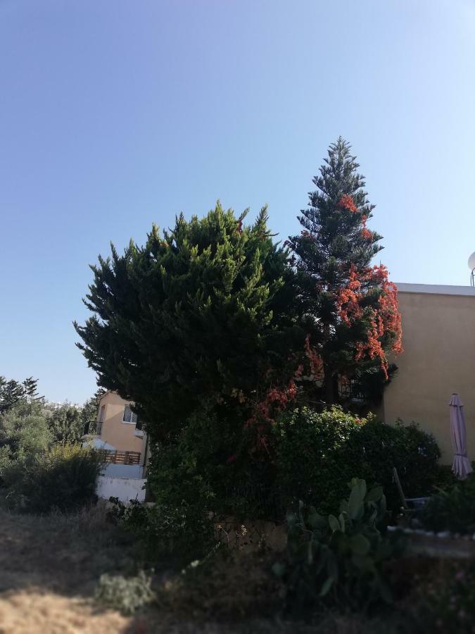 Chriselina Gottage Apartamento Pafos Exterior foto