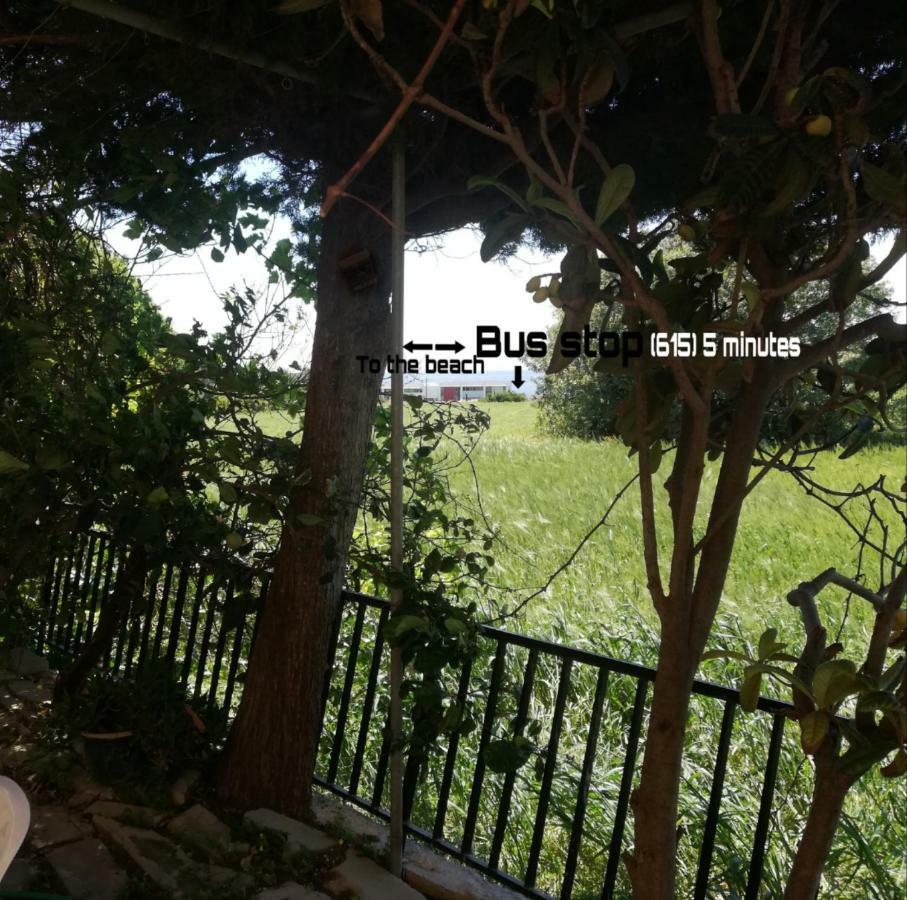 Chriselina Gottage Apartamento Pafos Exterior foto